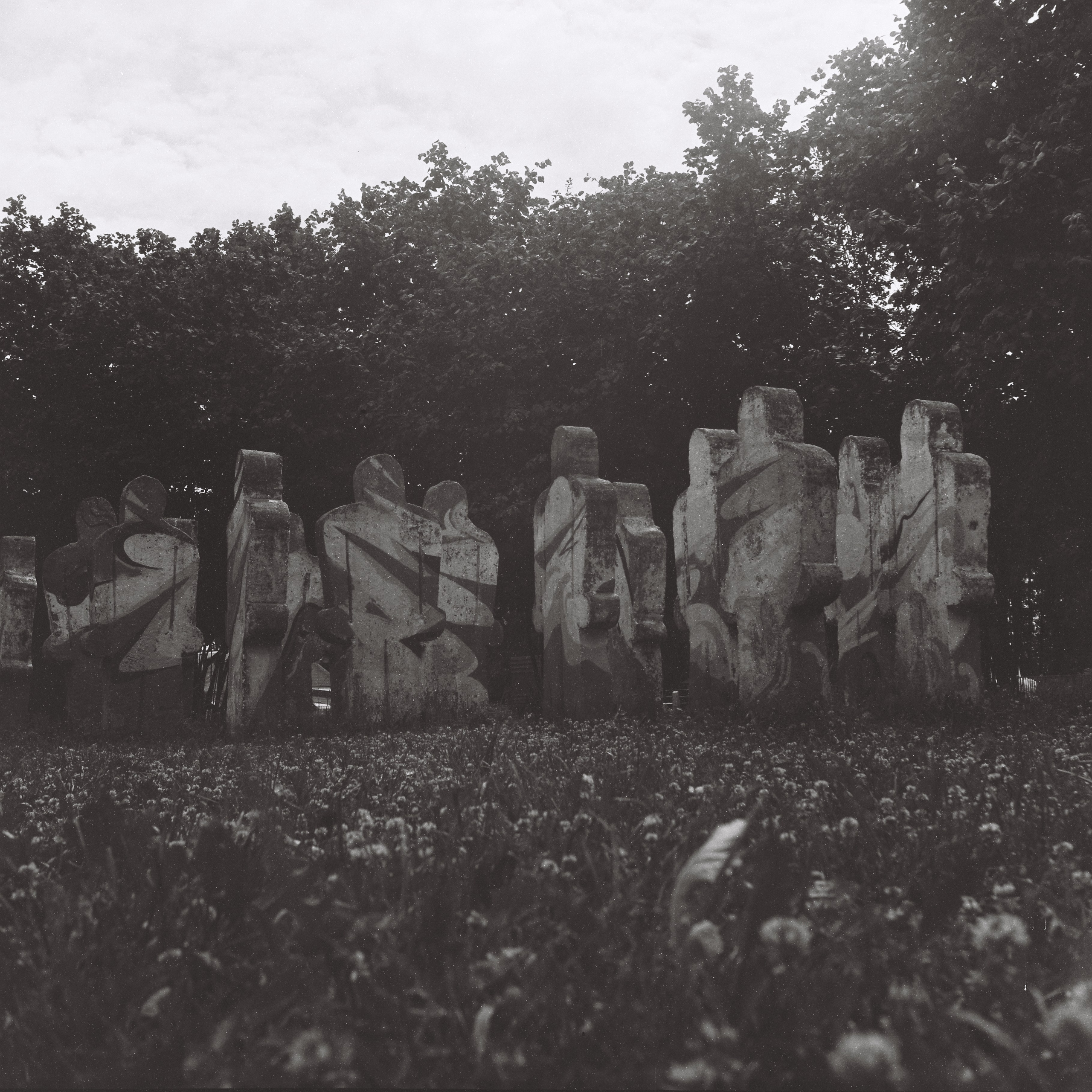 Что нужно, чтобы хорошо заварить чай, а может сделать снимок?. Роман Ходырев — эзотериолог, художник, фотограф и музыкант. Санкт-Петербург, Рига