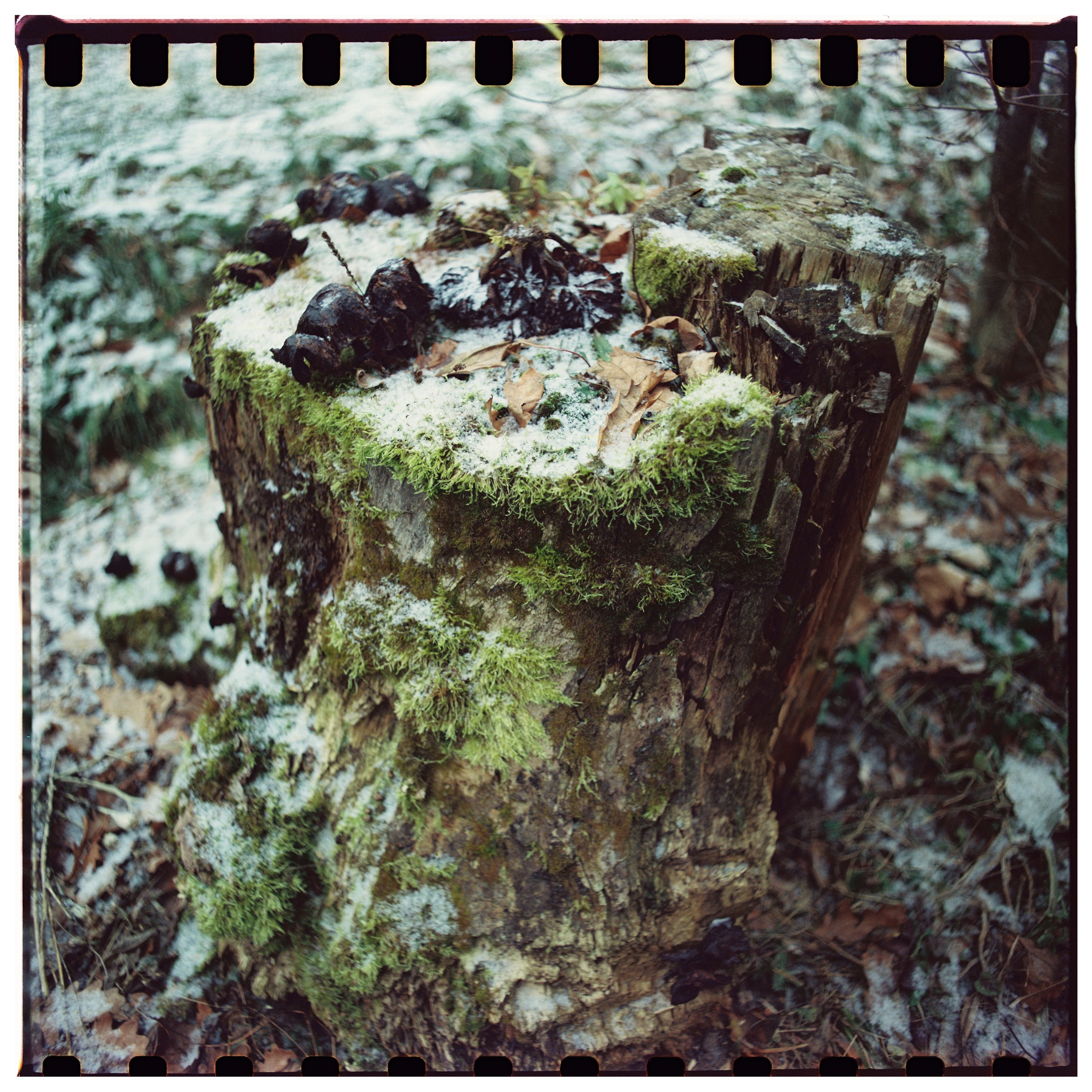 Aksenovo. Photographer Dima Sharov | Фотограф Дима Шаров