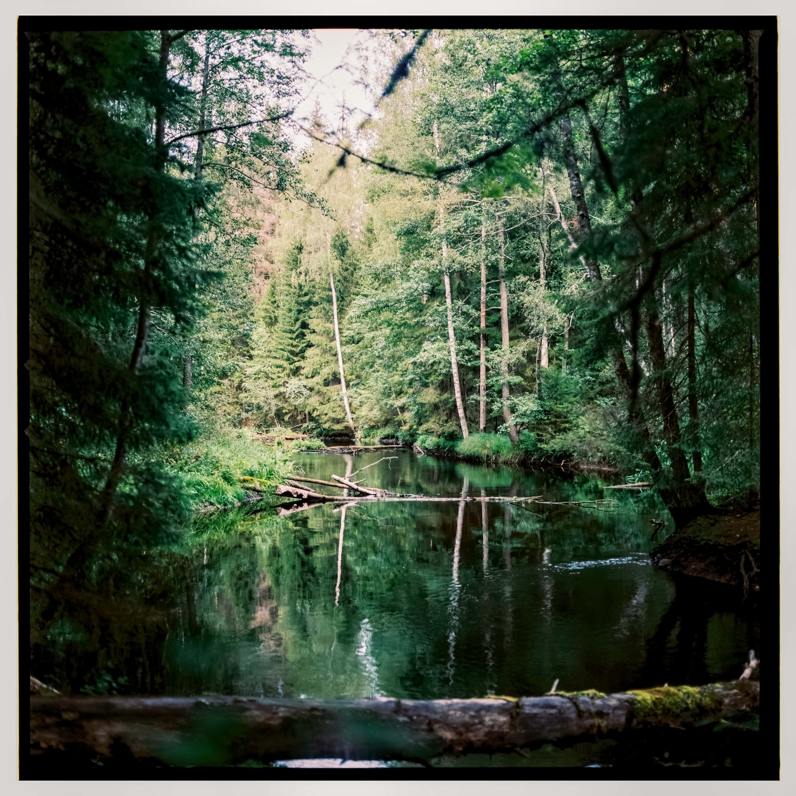 Ленобласть 2025. Стилист и плёночный фотограф Анастасия Шлокова в Санкт-Петербурге и Москве