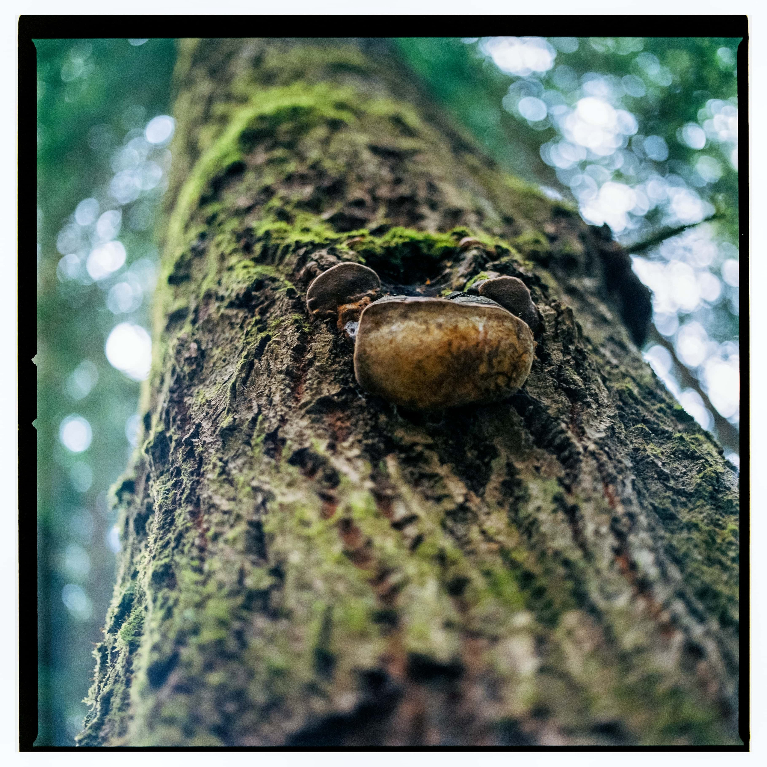 Ленобласть 2025. Стилист и плёночный фотограф Анастасия Шлокова в Санкт-Петербурге и Москве