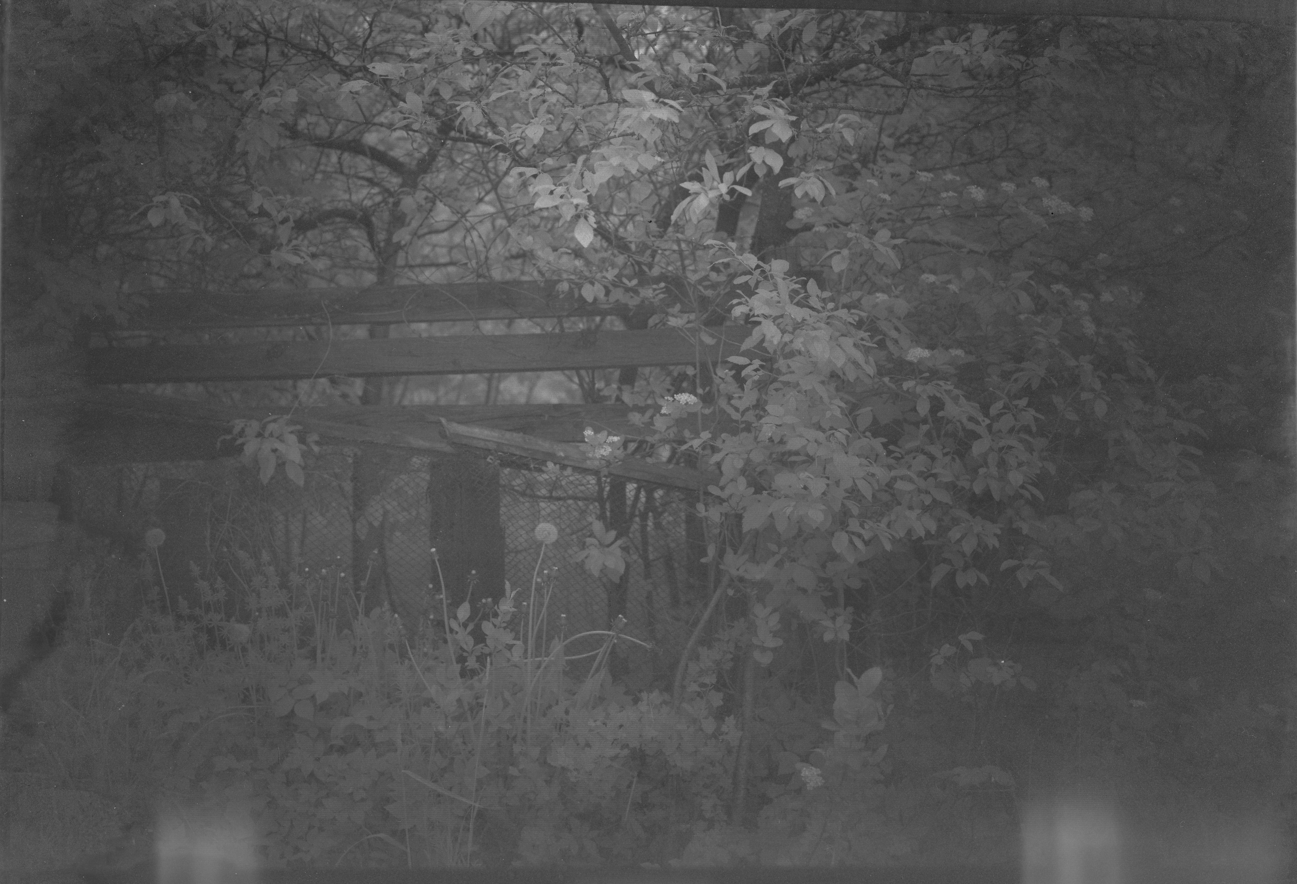 ДРЕЙФ — 26 маят 2025