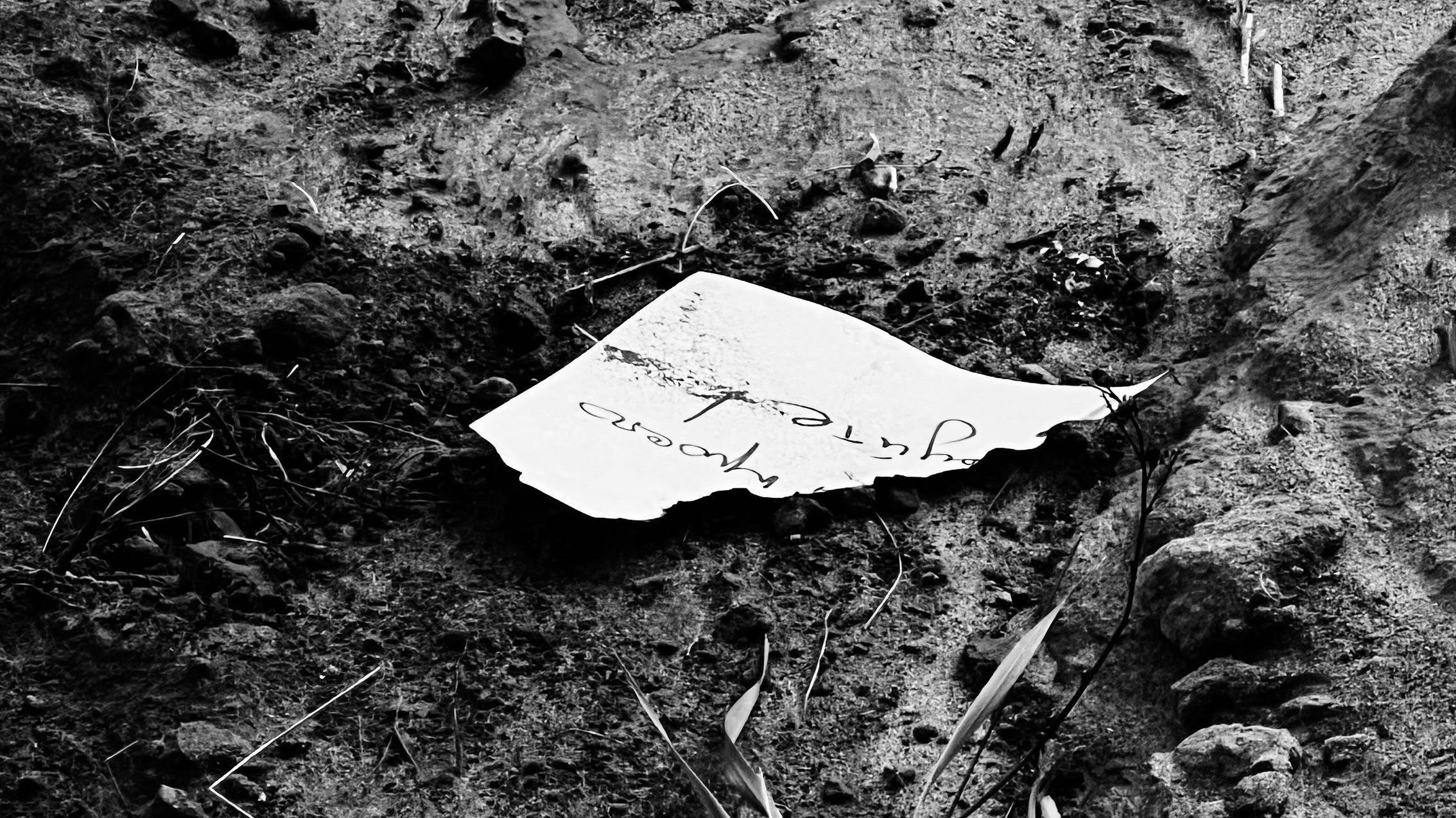 Перформанс «Лес мыслей». Коммерческий фотограф в Казани Ксения Добролюбова