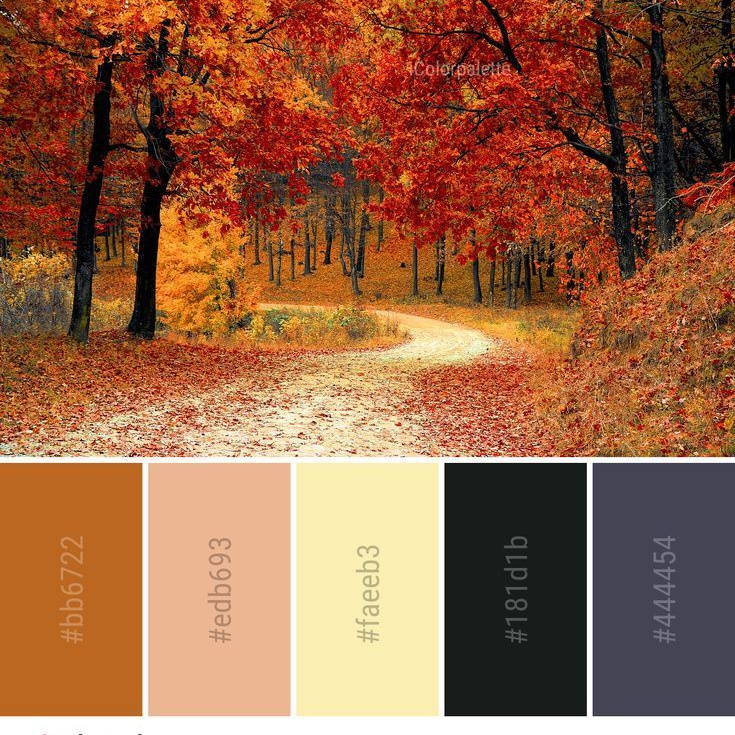 Локации и их цветовые гармонии. Степанова Анна.Детский и семейный фотограф Крым