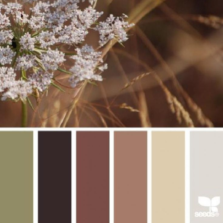 Локации и их цветовые гармонии. Степанова Анна.Детский и семейный фотограф Крым