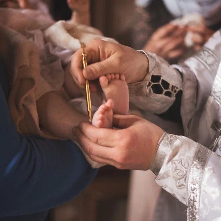 Цены на услуги. Семейный фотограф Вита Лифанова Брянск LifeStyle