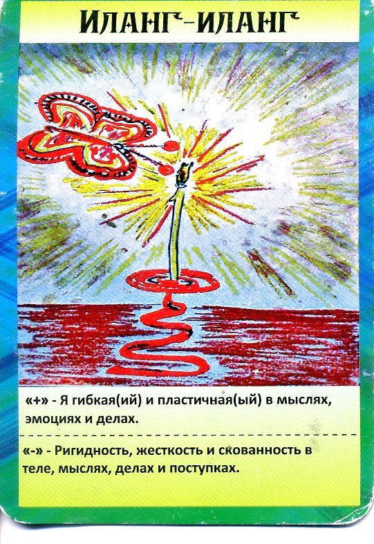 Масло иланг-иланга. VDAO.RU — исцеляющие практики