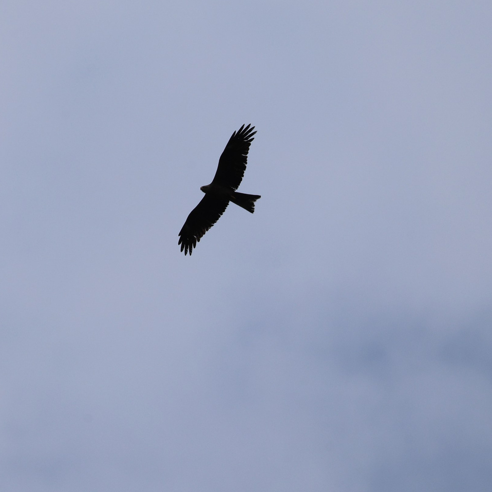 Большой уикенд. Пятница