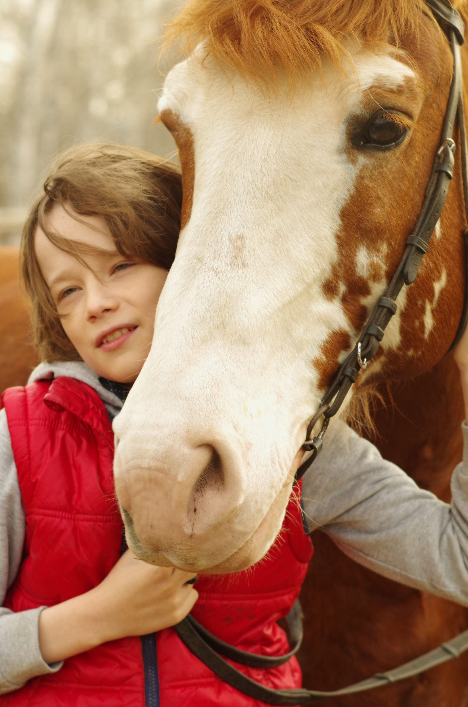 Конные фотосессии: подготовка. Фотограф Марина Доглядная Челябинск фотосессии с лошадьми, мотоциклами