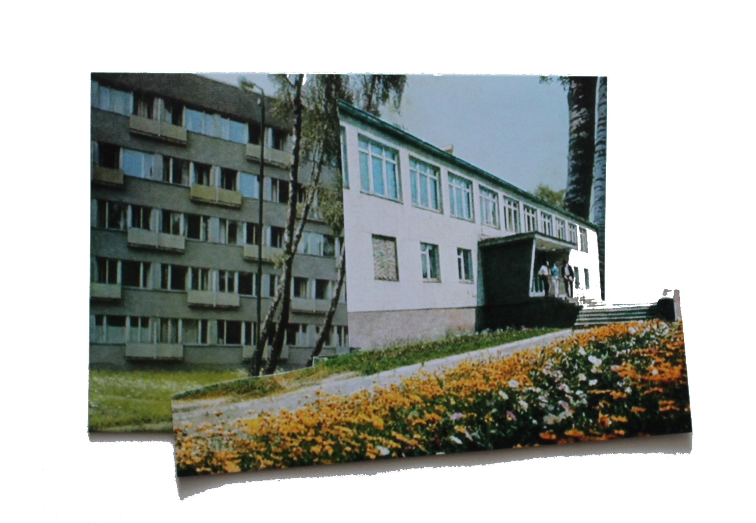 коллаж автор Юлия Горбунова, проект День без числа