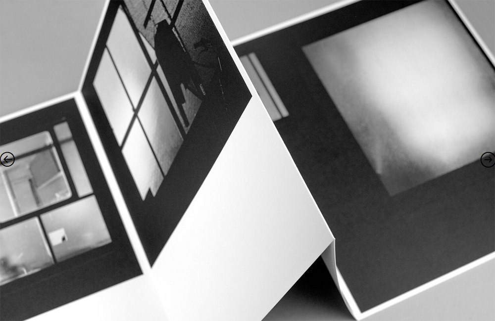 Как форма книги может влиять на концепт?. Самоорганизация Низина