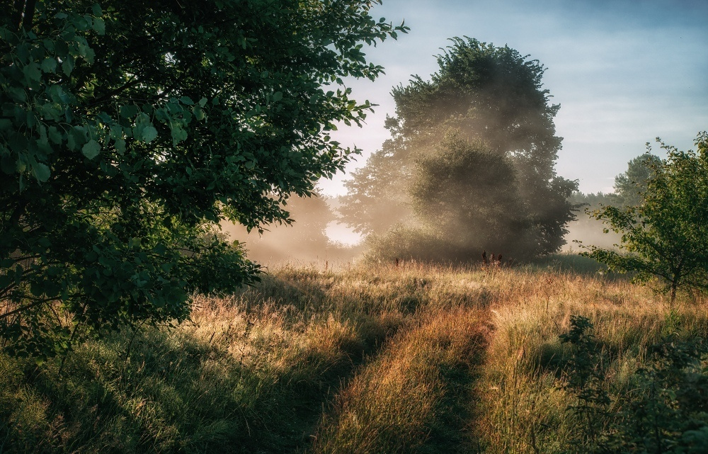 Отличие зрения человека от камеры. Фотоцентр Перспектива: выпускные альбомы, фотошкола, курсы фотографии