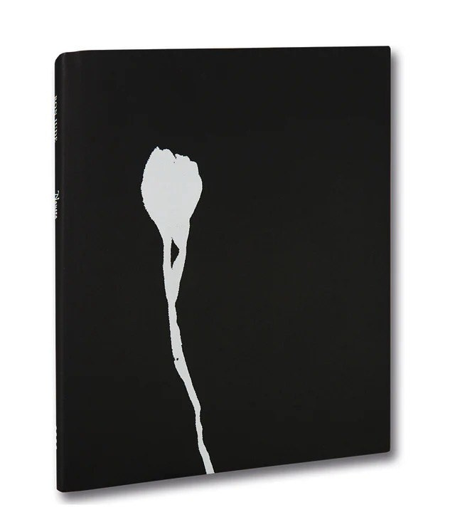 ОБЗОР АКТУАЛЬНЫХ ФОТОКНИГ: Тошнота. Самоорганизация Низина