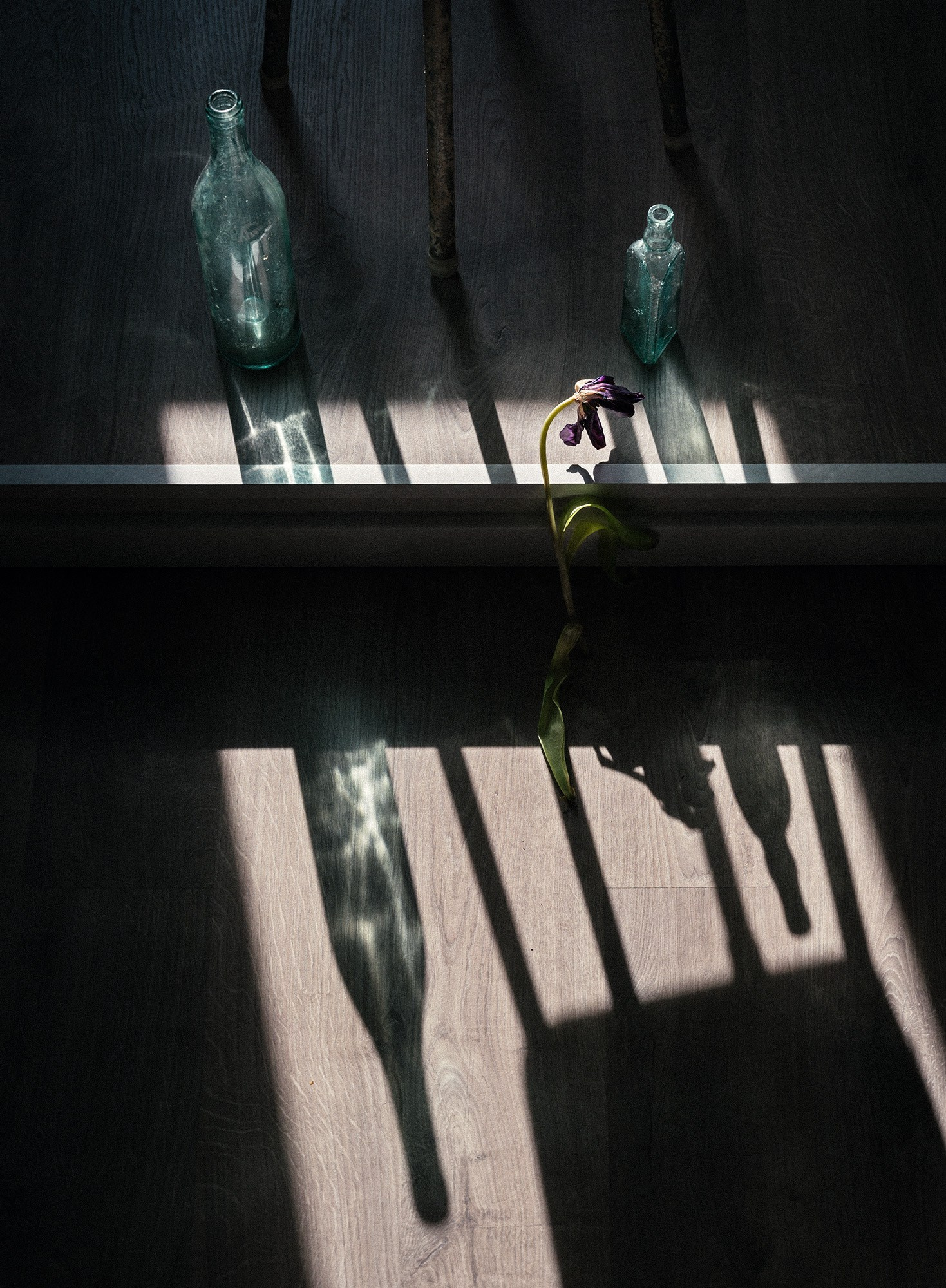 Интервью. Продолжение. Фотограф Елена Хазина, Рязань