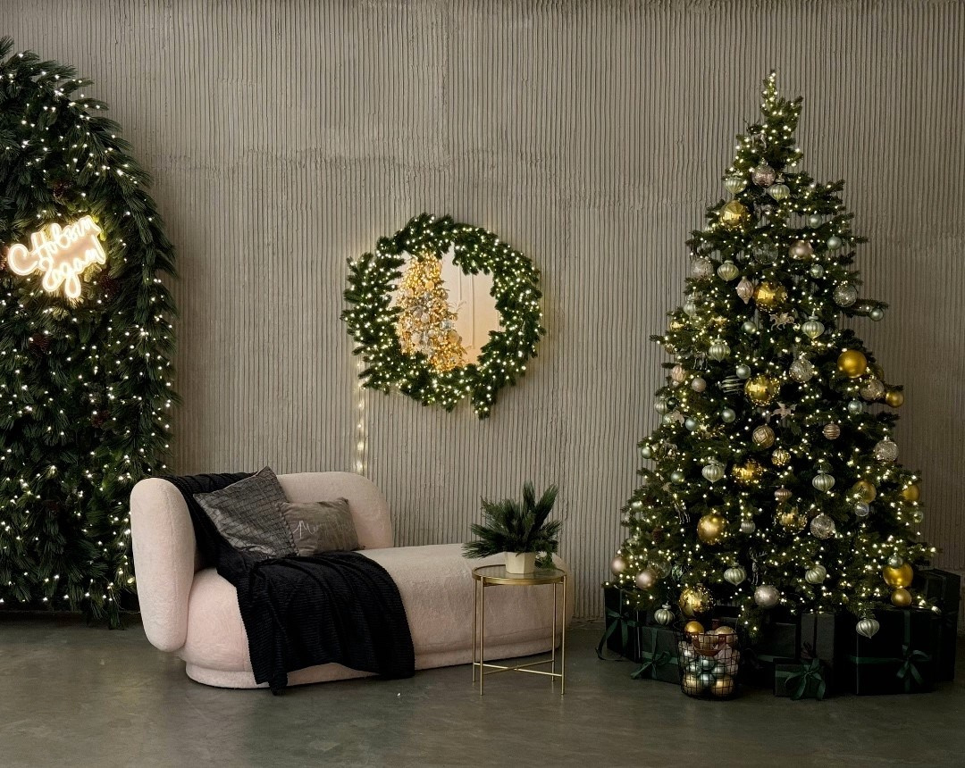 Фотостудии Новый 2026 год. Елена Данилова фотограф беременности в Кемерово