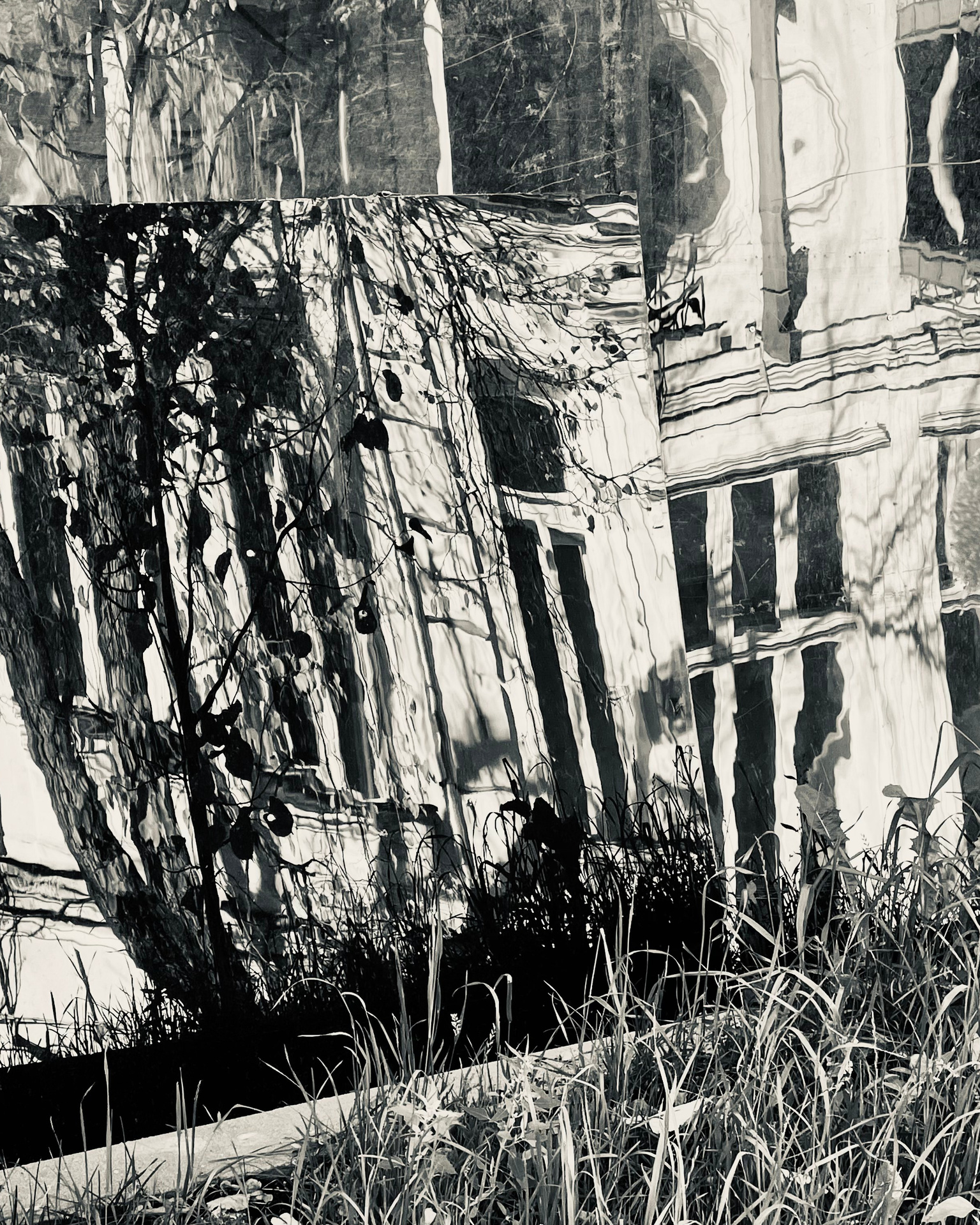 Визуальный художник Лиана Даренская, Москва