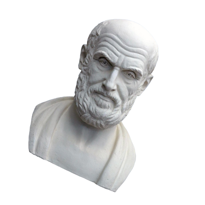 Для чего делать клизму перед рентгеном?. РЕНТГЕН КТ МРТ в Санкт-Петербурге Александра Лоншакова