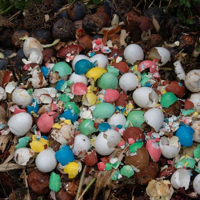 ФОТОсинтез. Могилевцева Дарья фотограф междисциплинарный художник