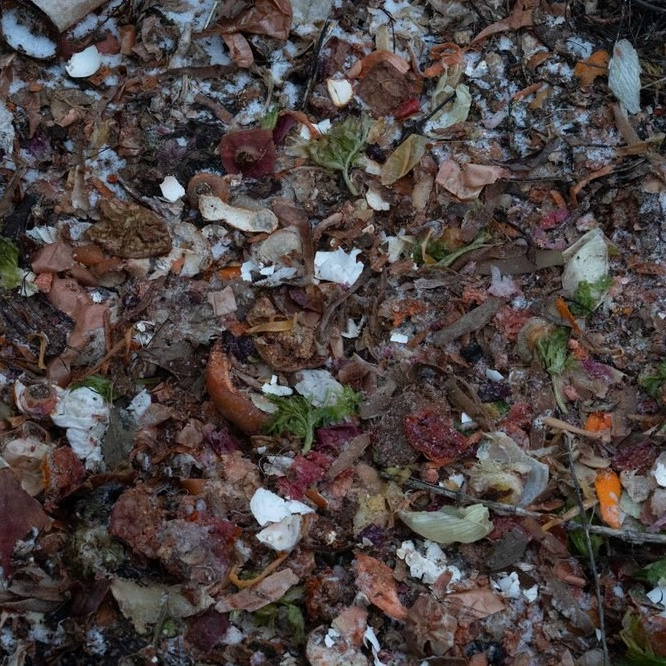 ФОТОсинтез. Могилевцева Дарья фотограф междисциплинарный художник