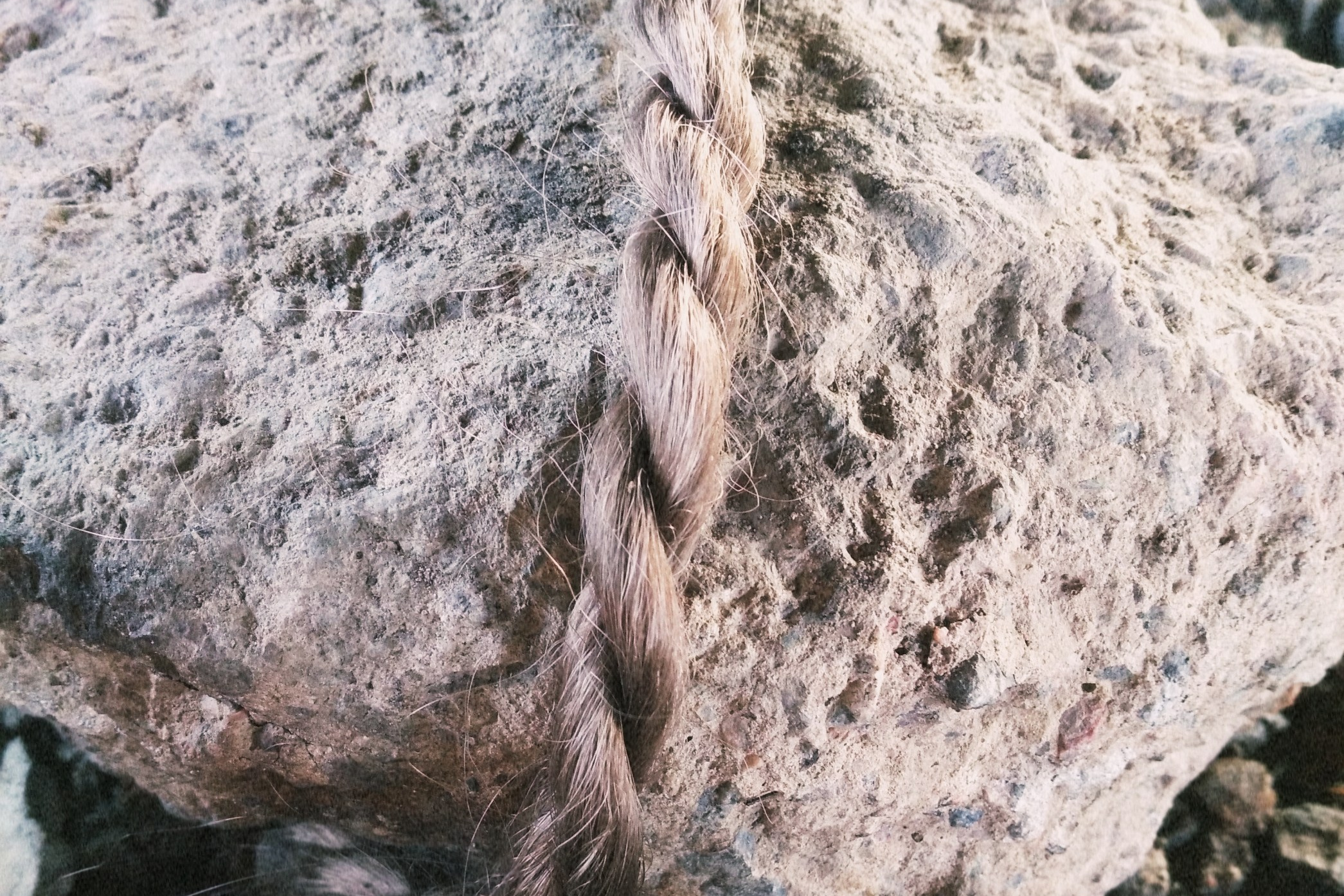 Оскар. Ирина Петрова. Современный художник