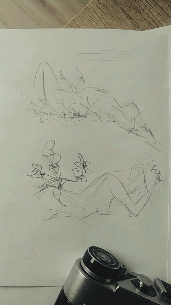 Воркшопы для фотографов. Фотограф Дмитрий Щекочихин