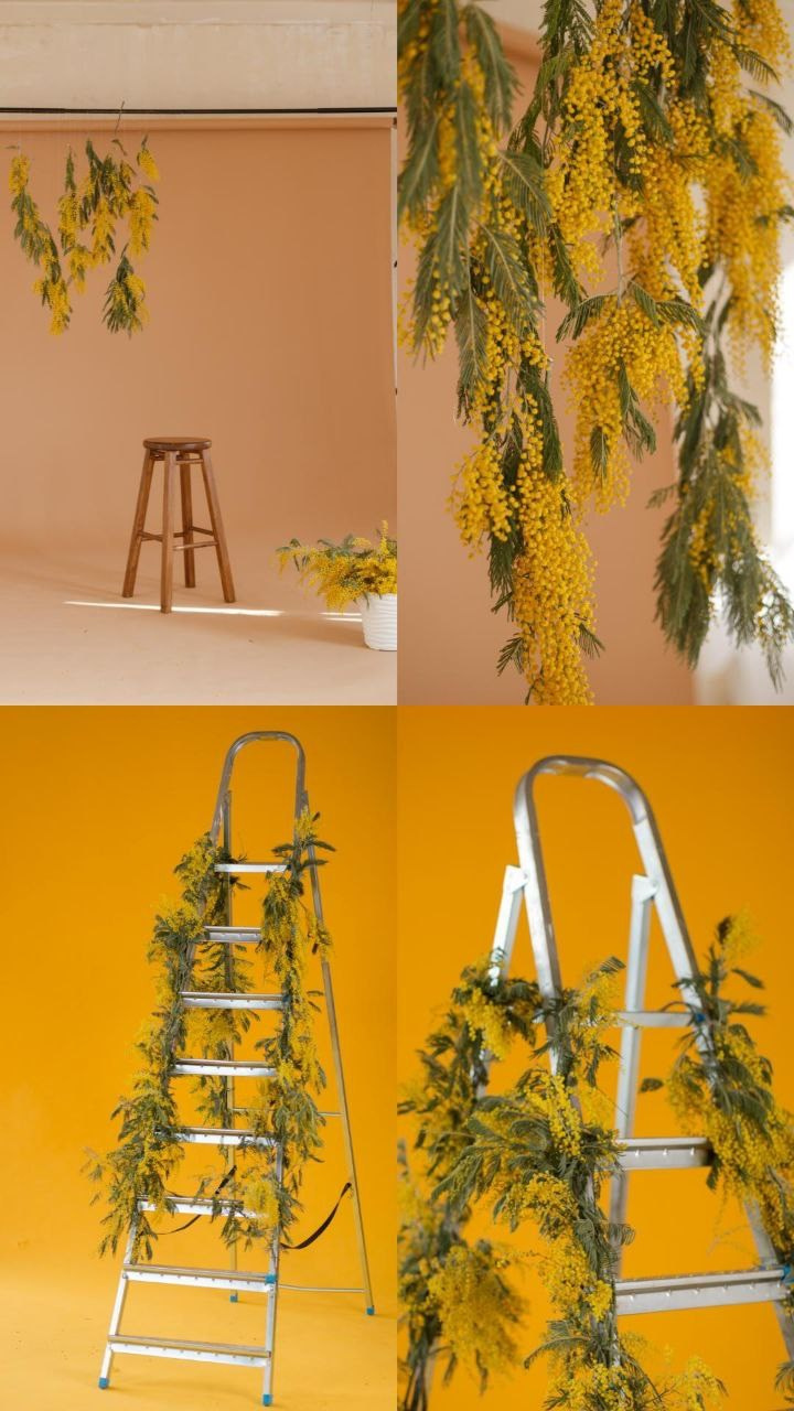 Экспресс фотосессии и фотодни в Балашихе и Железнодорожном