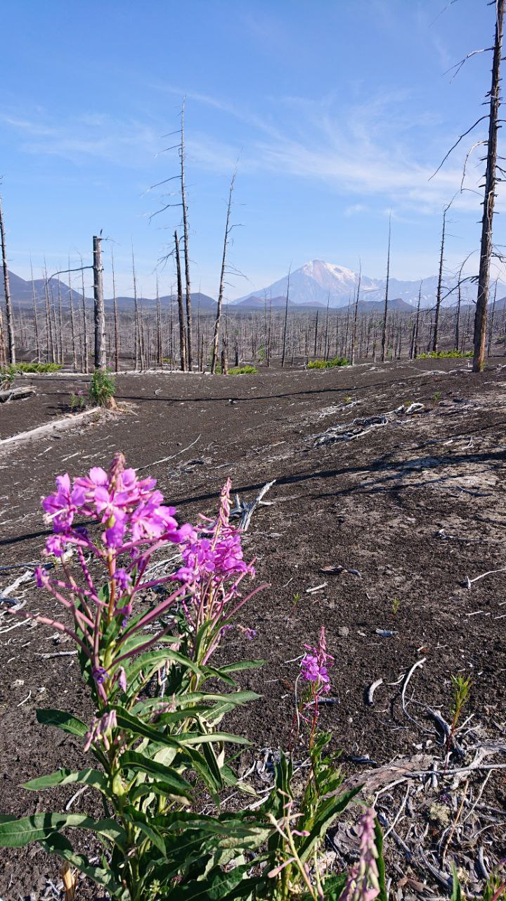 Камчатка. Фототрип. Тур?. Семоха Валерий. Фотограф