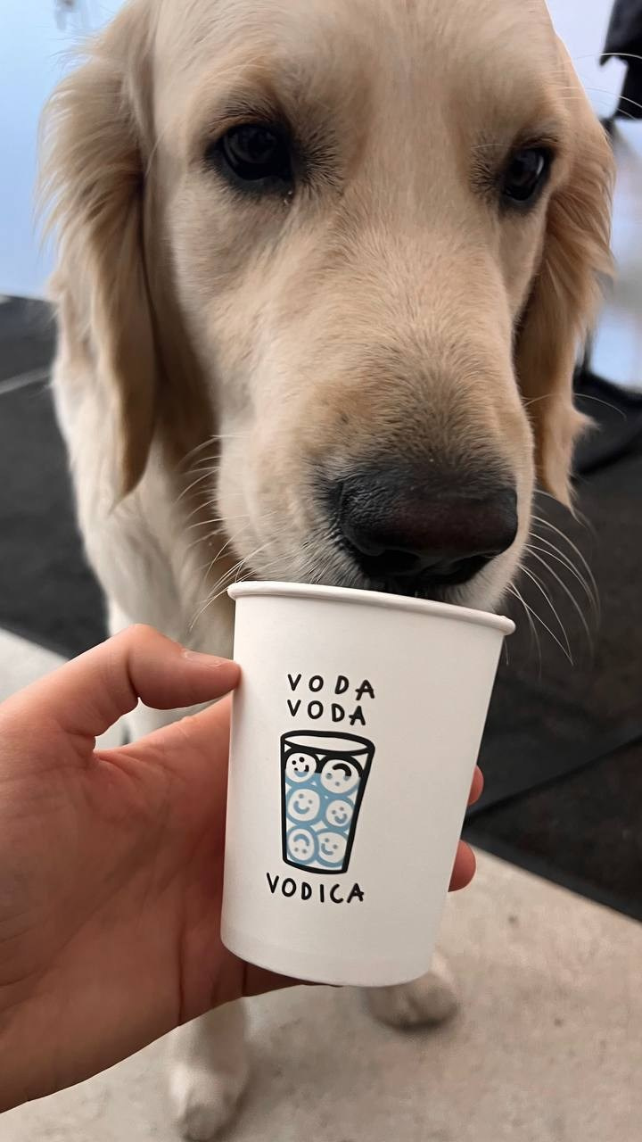 Ленинградская 29. Автопортретная Самара