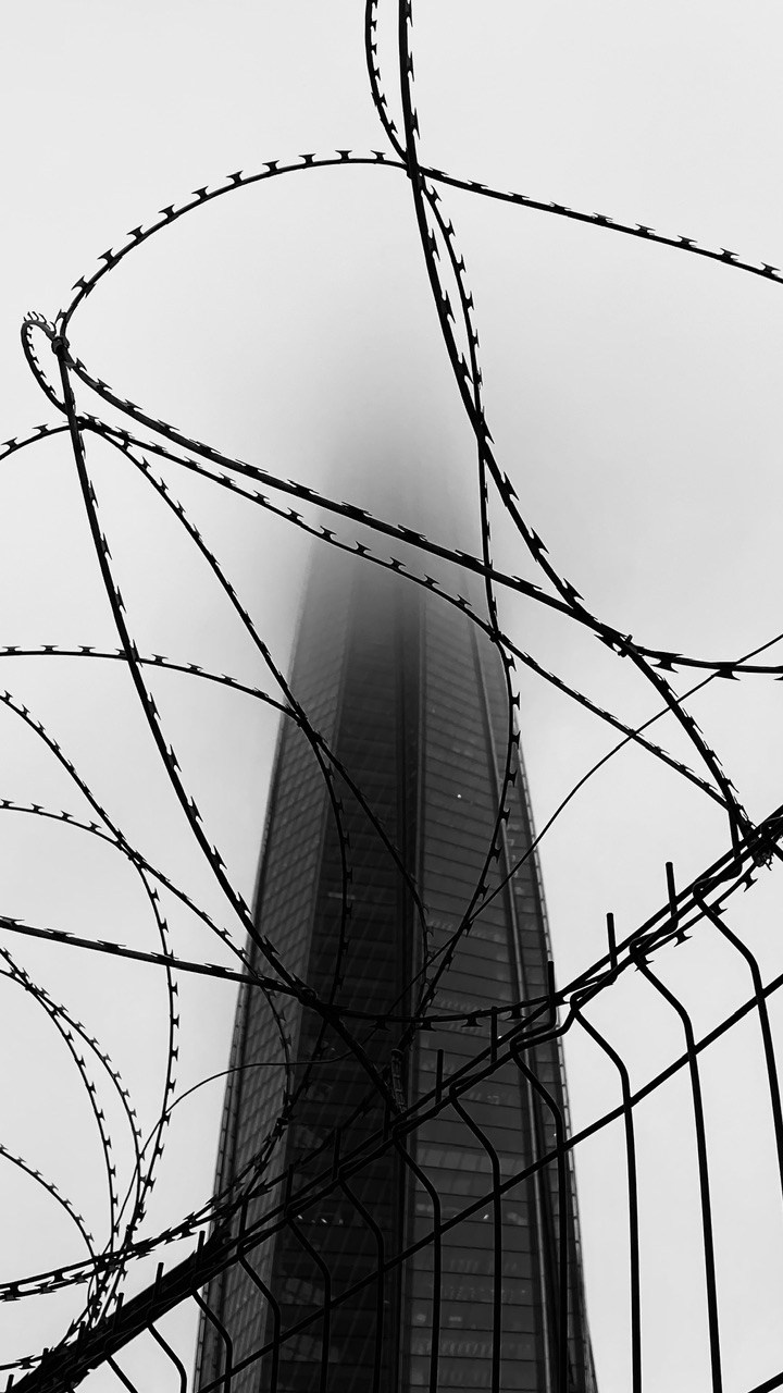 Резниченко Дарья. Организация фотовыставок в Петербурге и Москве, MFamilia (МФамилия)