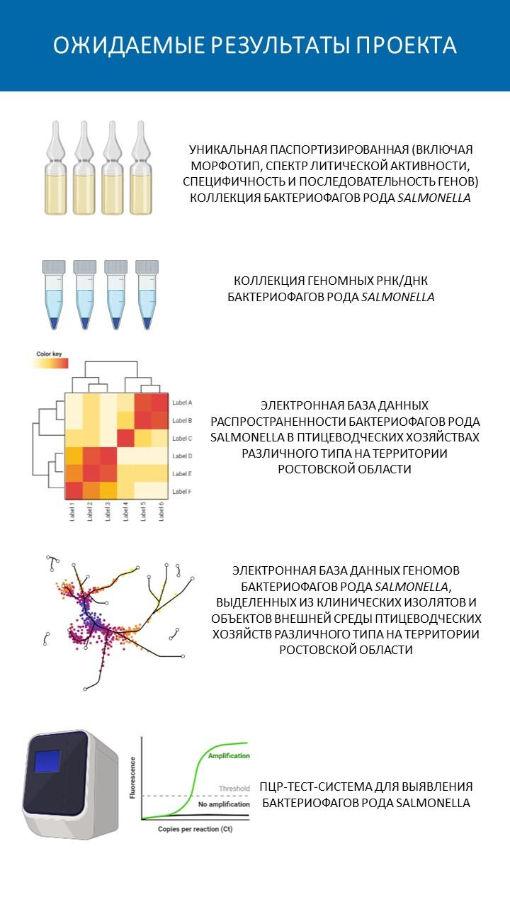 Поиск бактериофагов. Главная