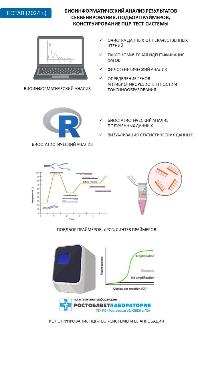 Поиск бактериофагов. Главная