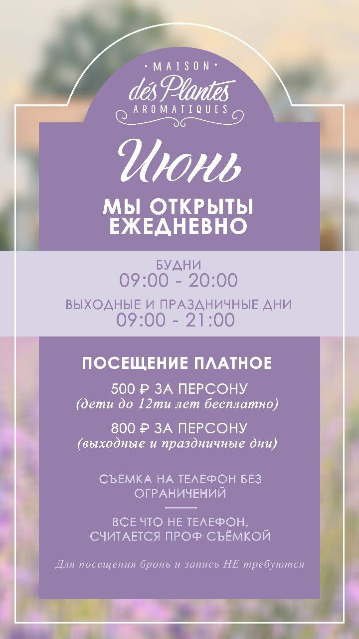 Фотодни в лаванде. Семейный и детский фотограф Анапа