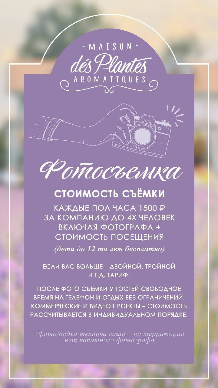Фотодни в лаванде. Семейный и детский фотограф Анапа