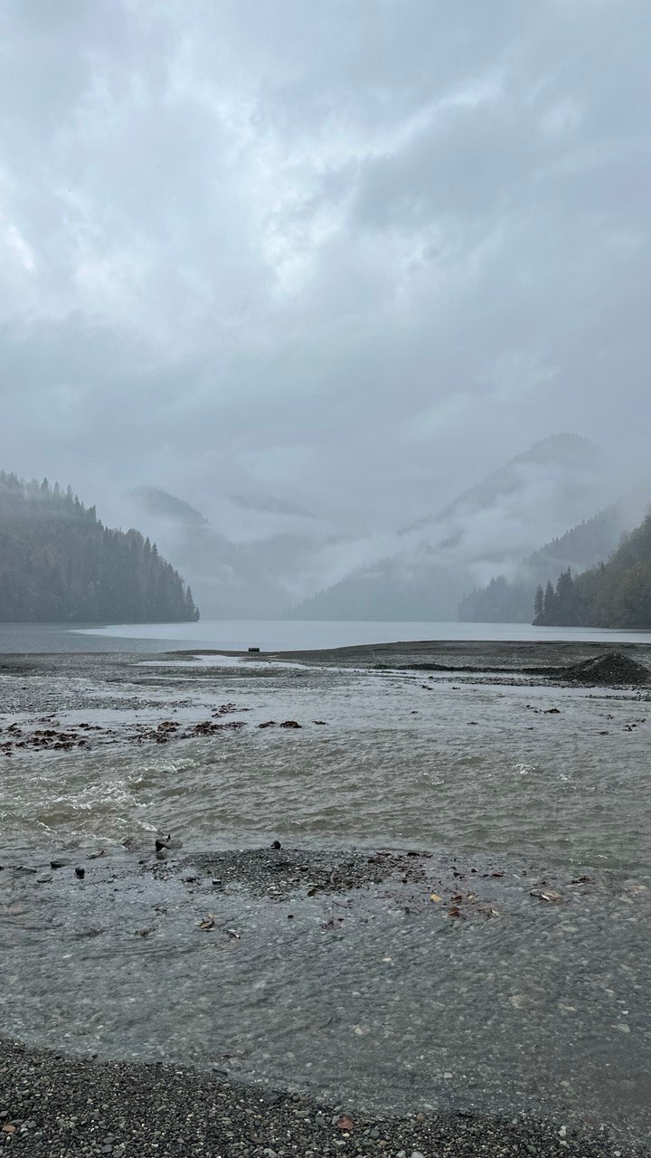 Абхазия. Фотограф в Донецке Говорущенко Марина