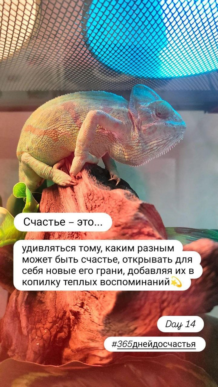 Марафон. Писатель Валя Саар официальный сайт