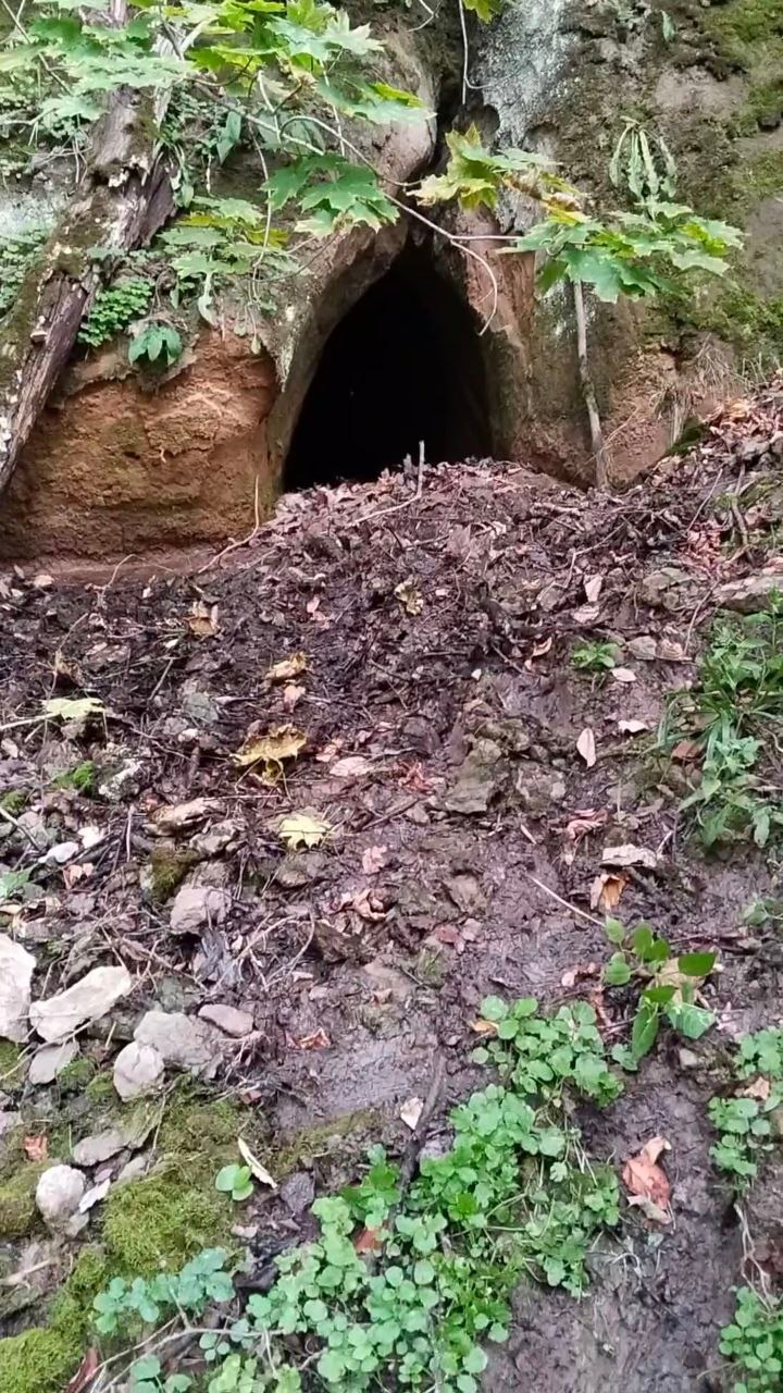 Жихаревская пещера. История Назиевского городского поселения