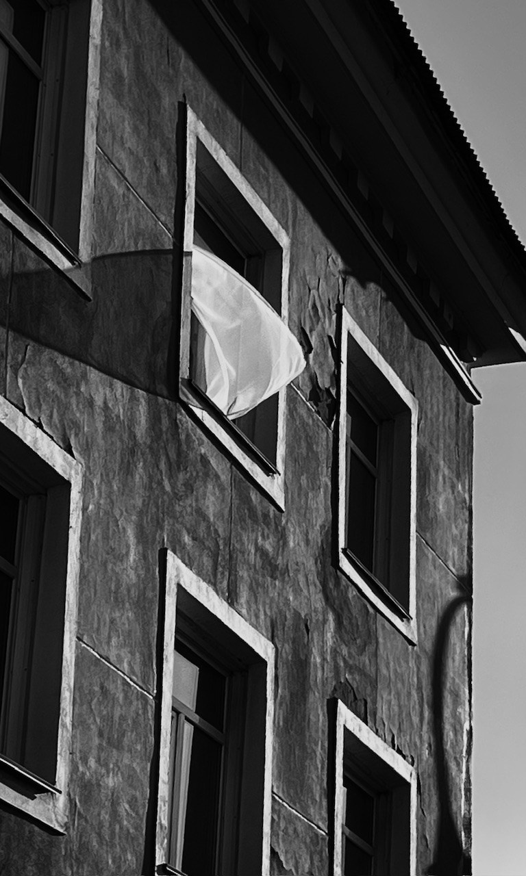 Резниченко Дарья. Организация фотовыставок в Петербурге и Москве, MFamilia (МФамилия)