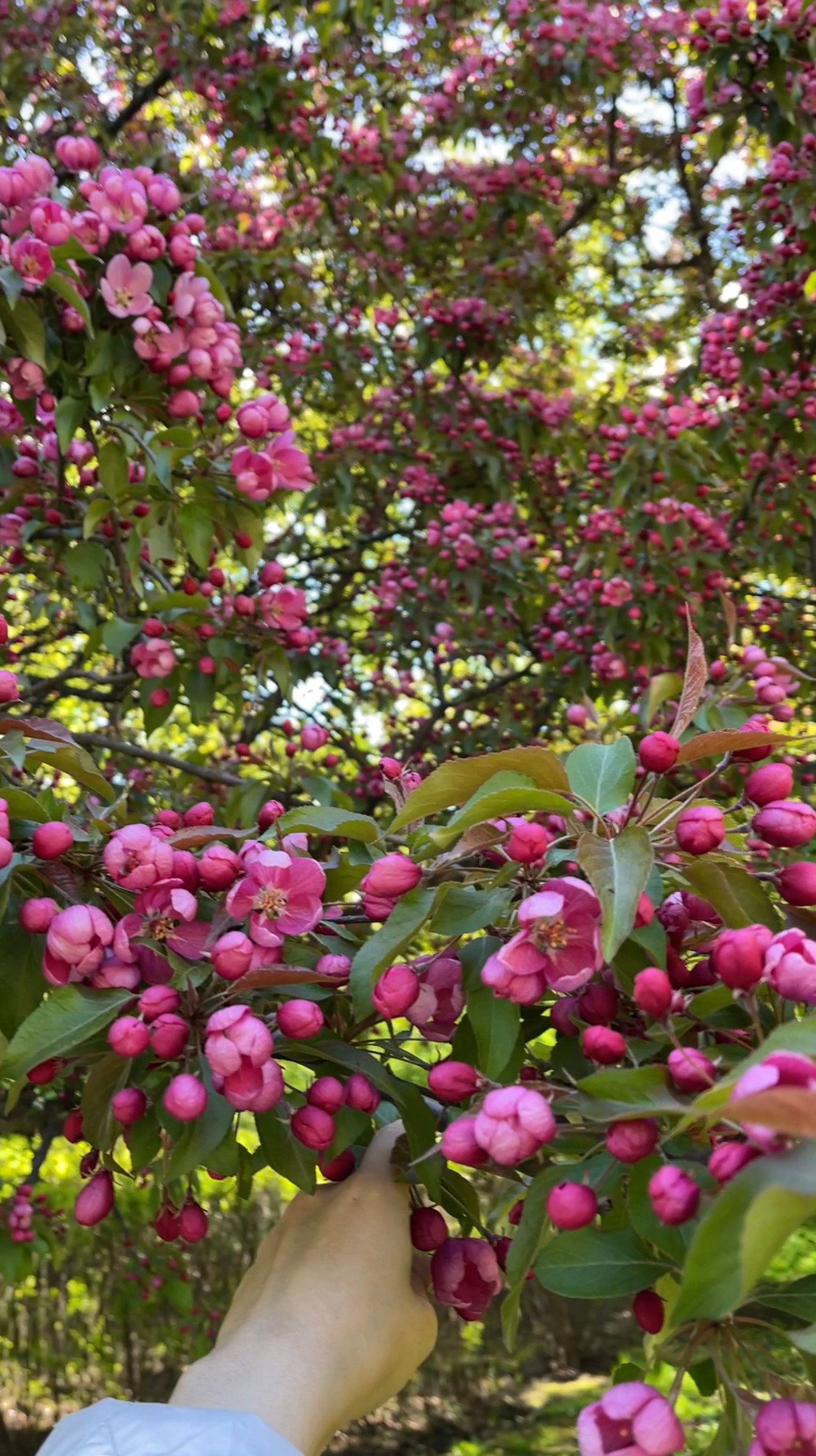 Адреса локаций. Женский и семейный фотограф Светлана