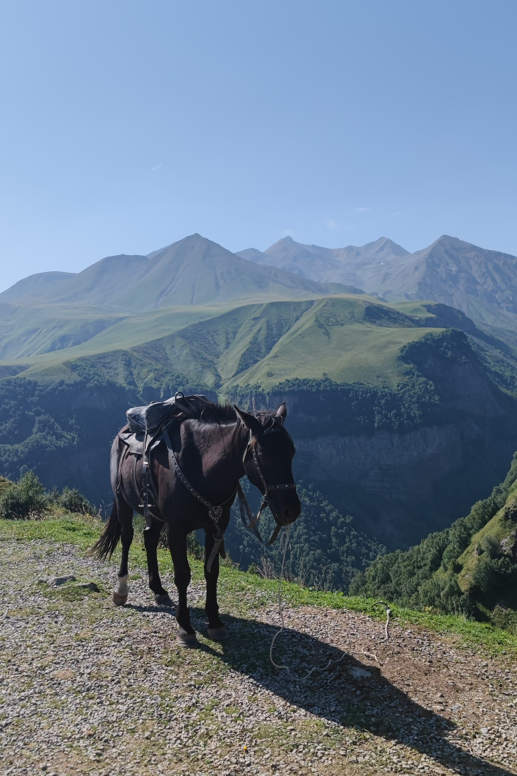 Фотограф Алексей Федорищев