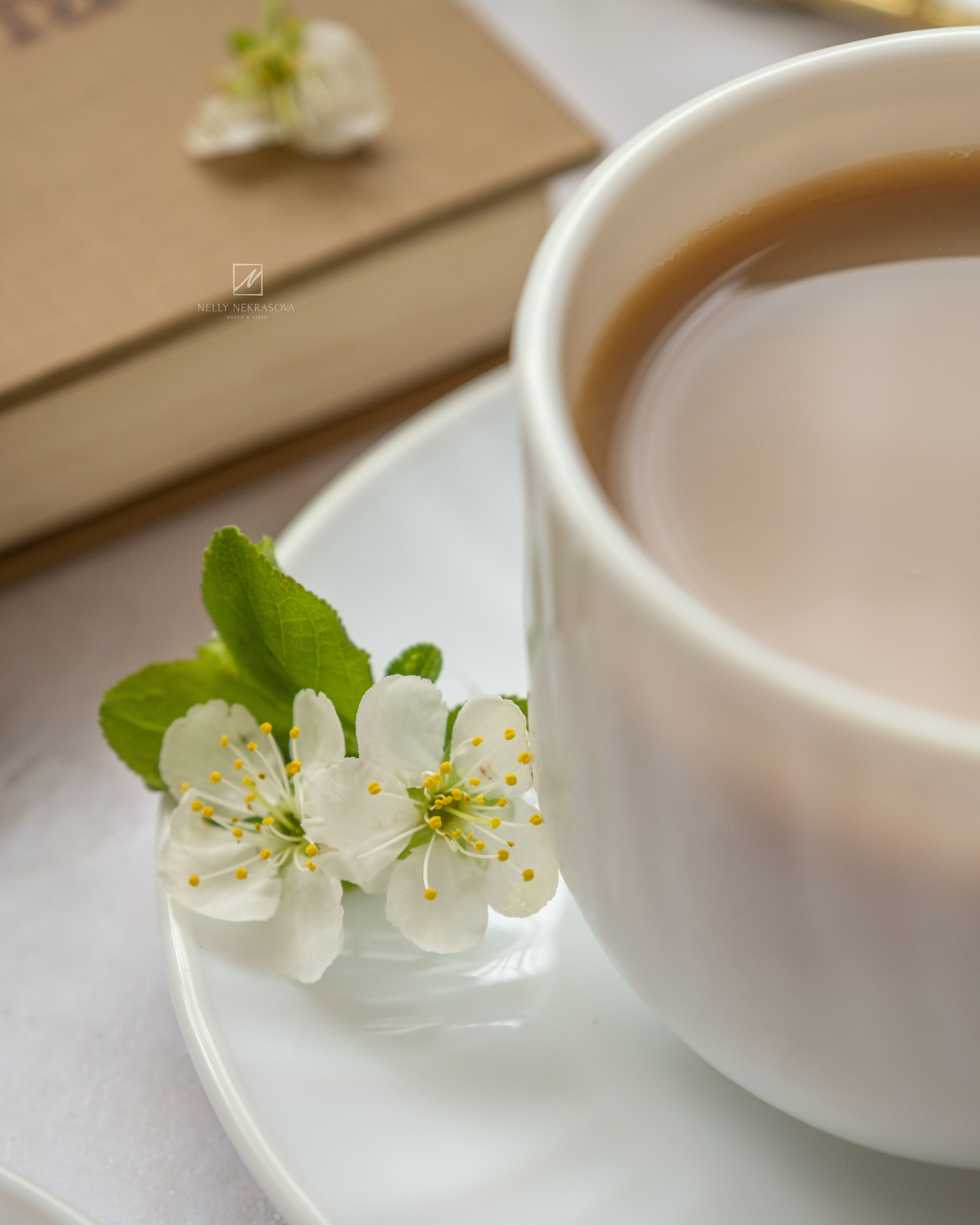 Spring inspiration & aesthetic. Фотограф и искусствовед в Туле и Санкт-Петербурге Нелли Некрасова