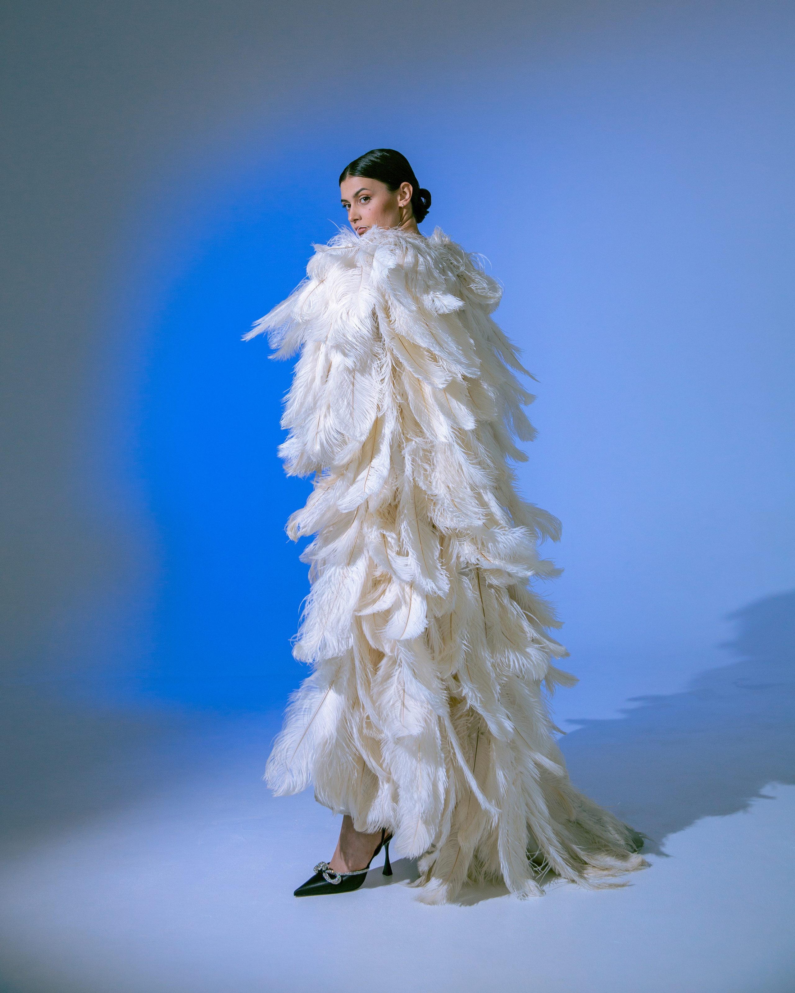 Полет птицы пернатой. Визуальный художник Лиана Даренская, Москва