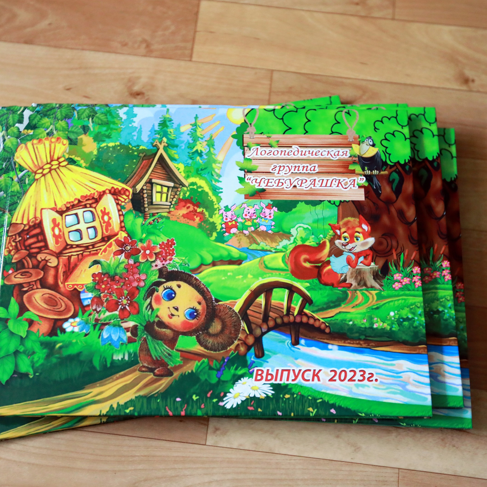 Выпускной альбом в детский сад. Детский сад 124 Липецк. Горизонтальный выпускной альбом 33х23 см постраничный.