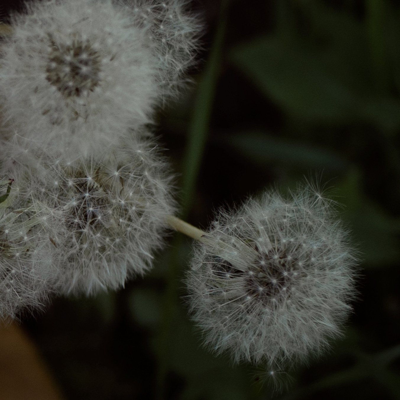 Контакты. Свадебный и женский фотограф в Санкт-Петербурге Маргарита Колван