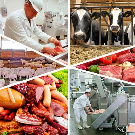 Инвестиционный консалтинг недвижимость