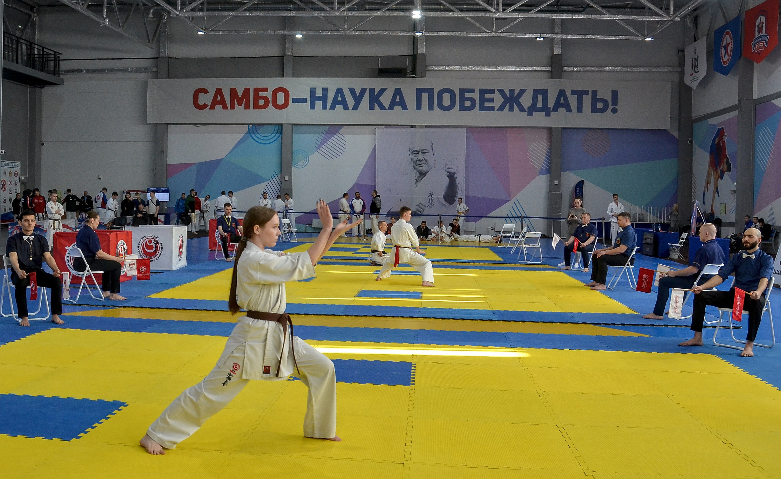 Киокусинкай карате