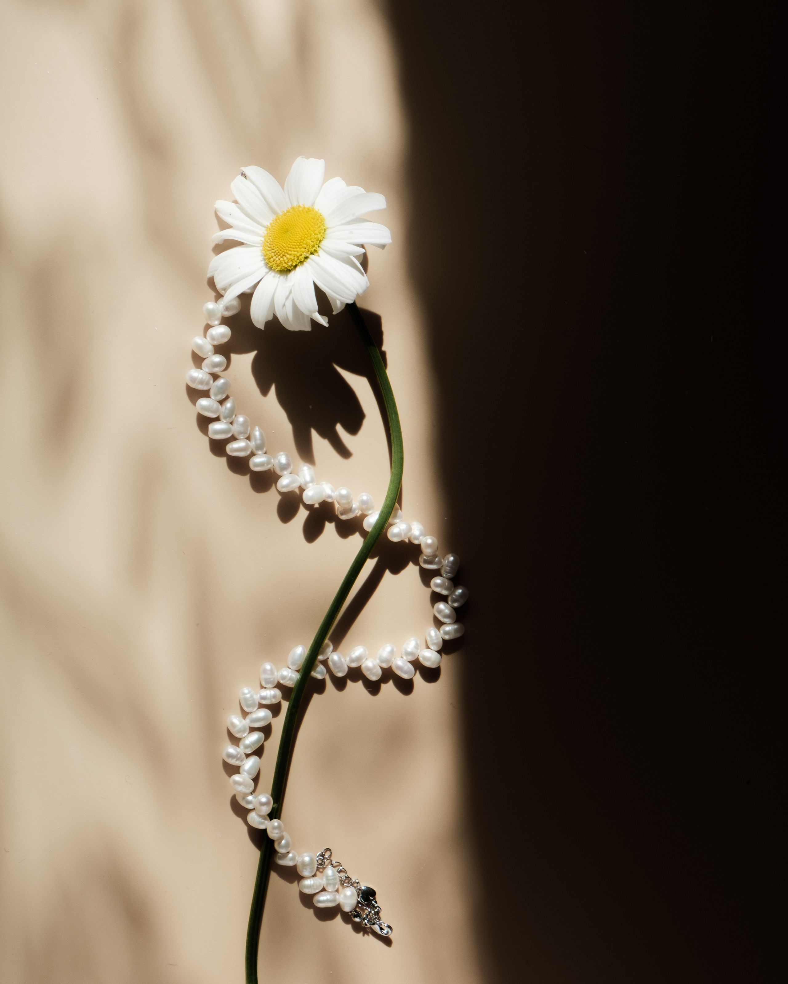 УСЛУГИ. ФОТОГРАФ ХОХЛОВА ИРИНА | МАГАДАН