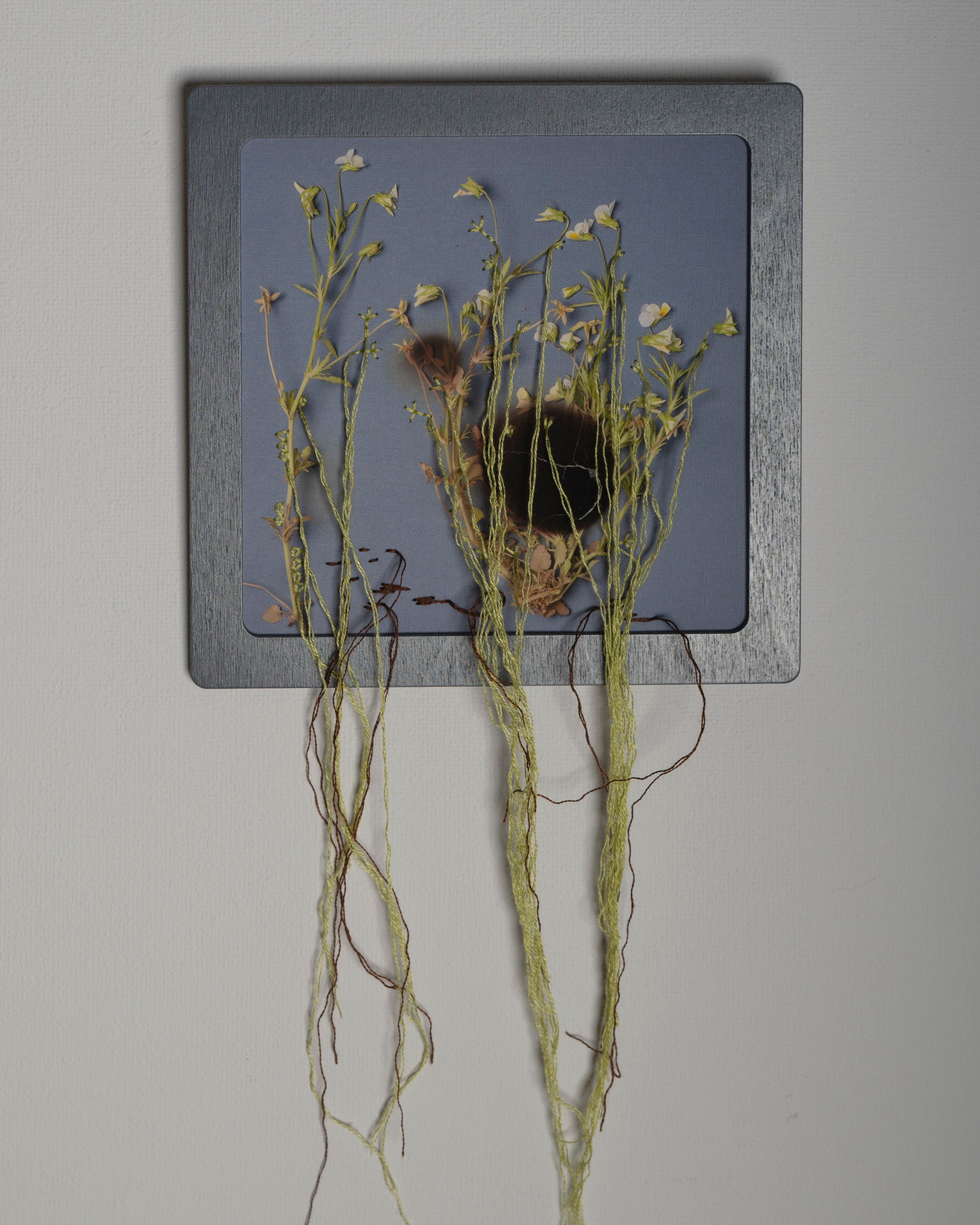 Работы приобрести. Фотохудожник АРТ-фотограф Ира Будниченко Москва