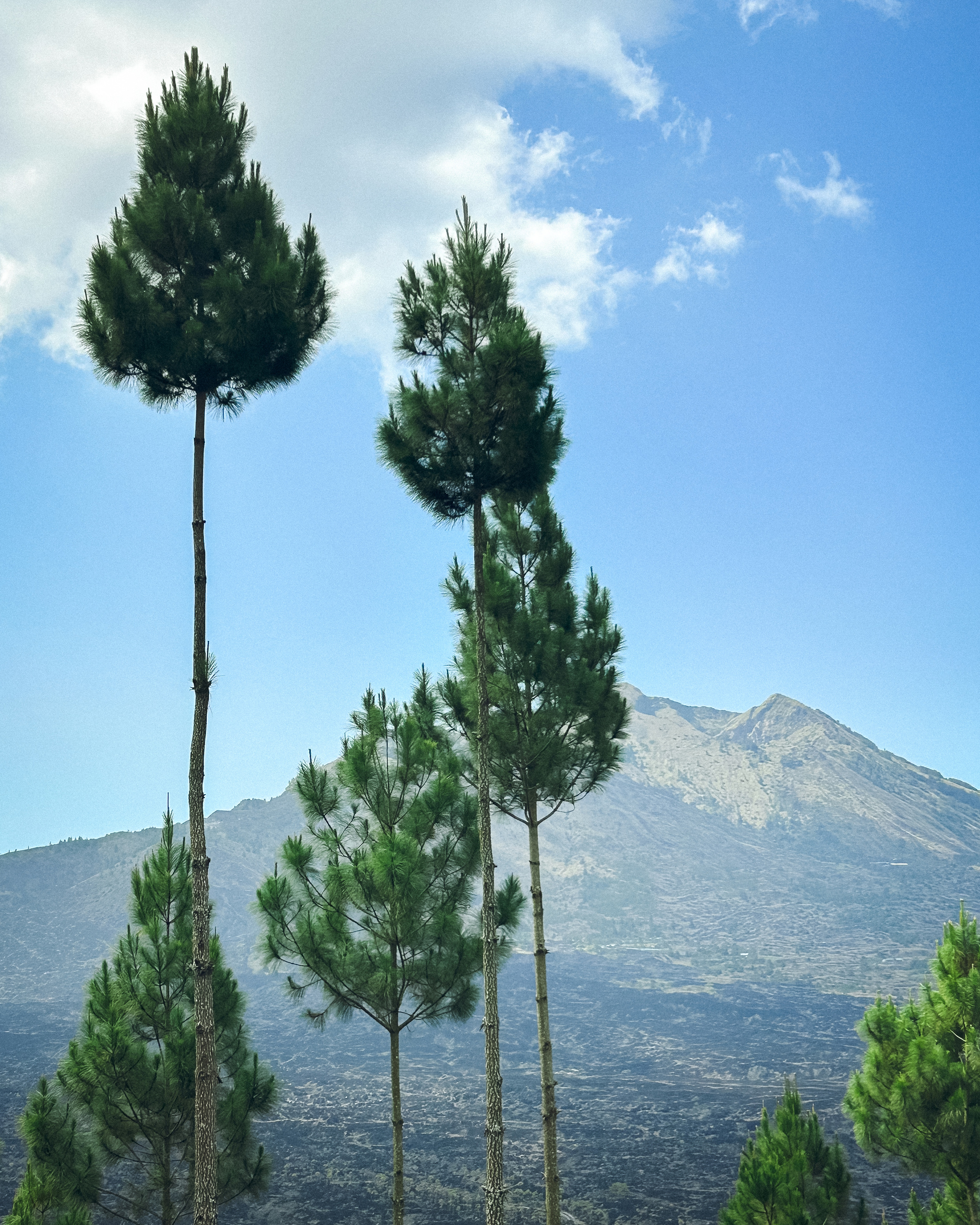 Регион Кинтамани (Бали). Ольга Антипова — фотограф