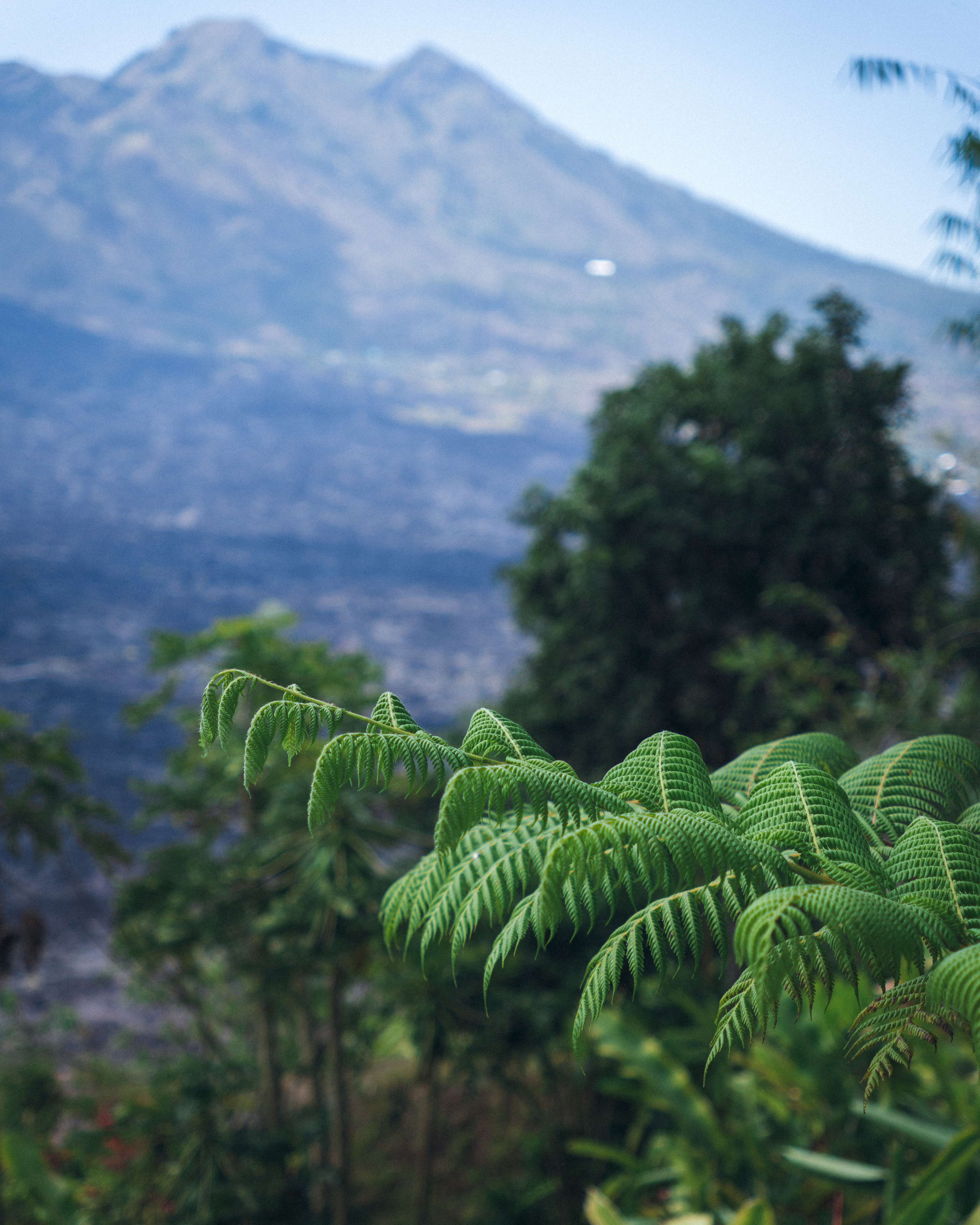Регион Кинтамани (Бали). Ольга Антипова — фотограф