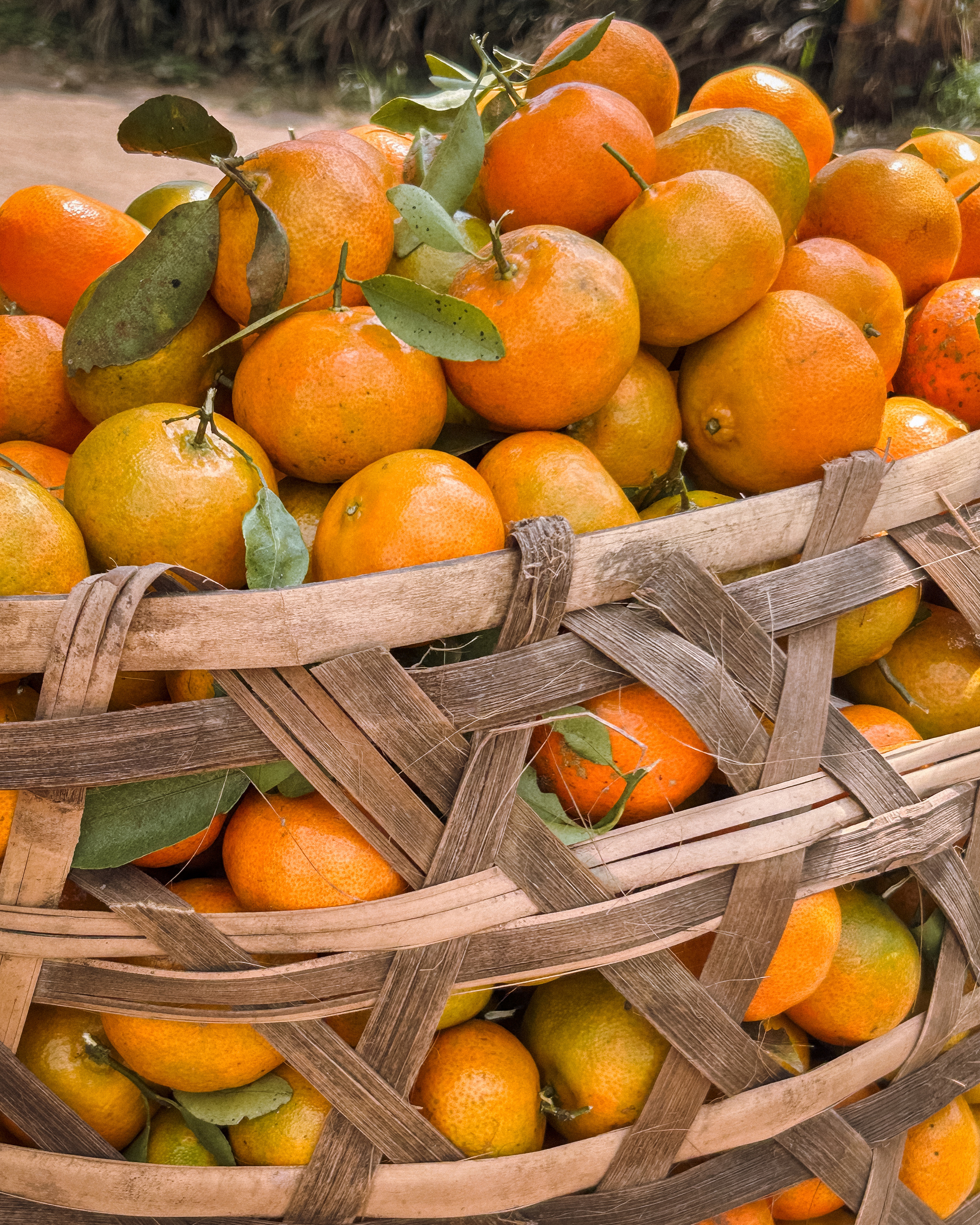 Регион Кинтамани (Бали). Ольга Антипова — фотограф