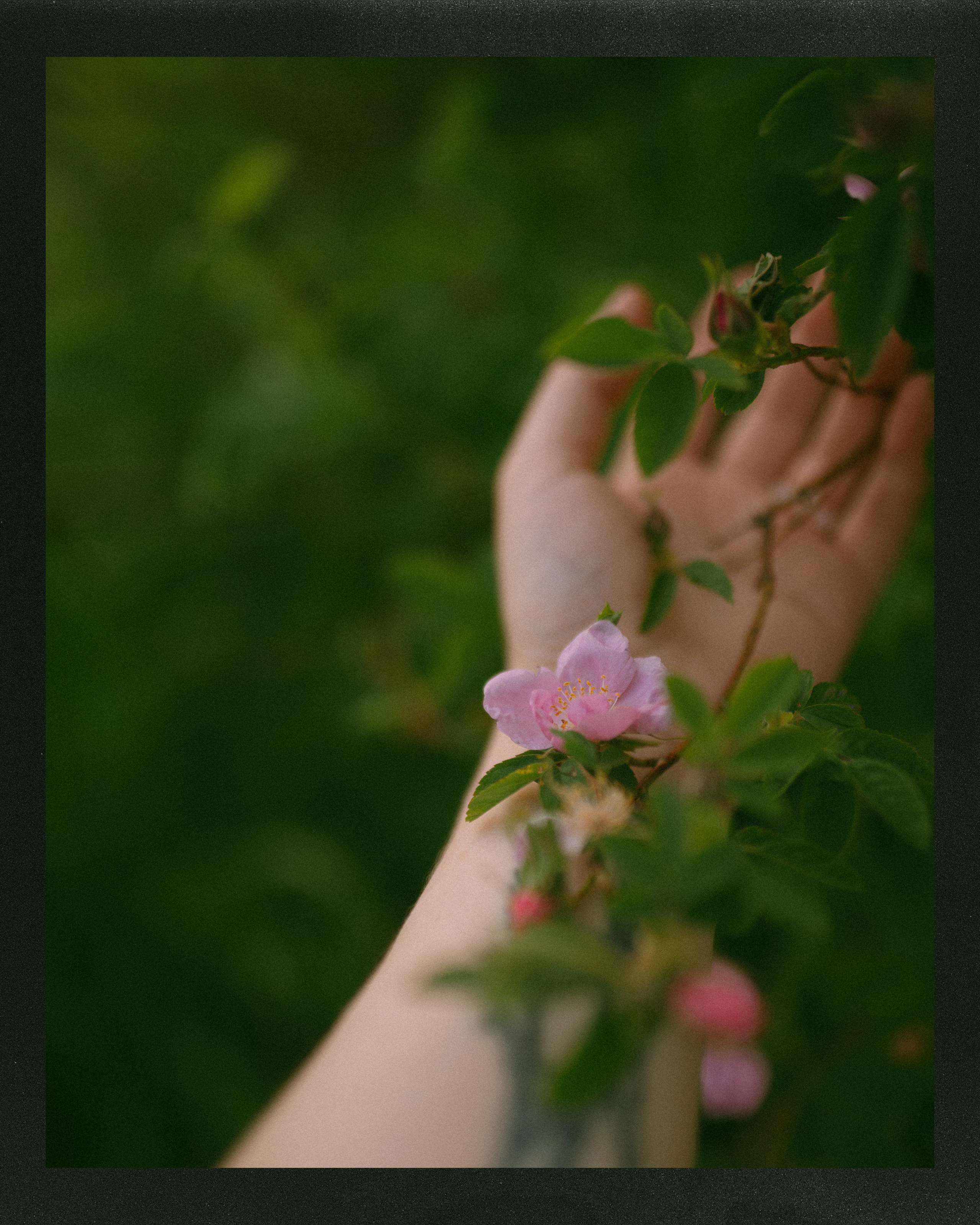 Портретный фотограф в Москве Ефанова Ульяна. Женский портрет